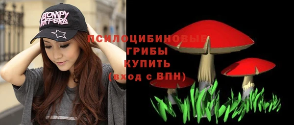 а пвп мука Краснослободск