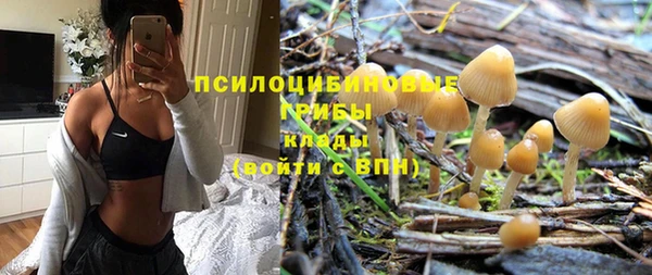 а пвп мука Краснослободск