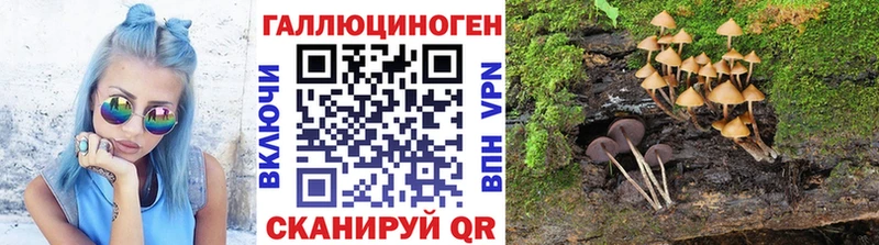 Купить  Сокол  Галлюциногенные грибы мухоморы 